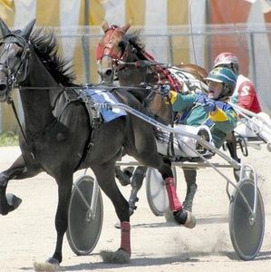 Meet your Posher, Eric